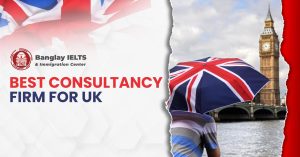Best Consultancy Firm for UK