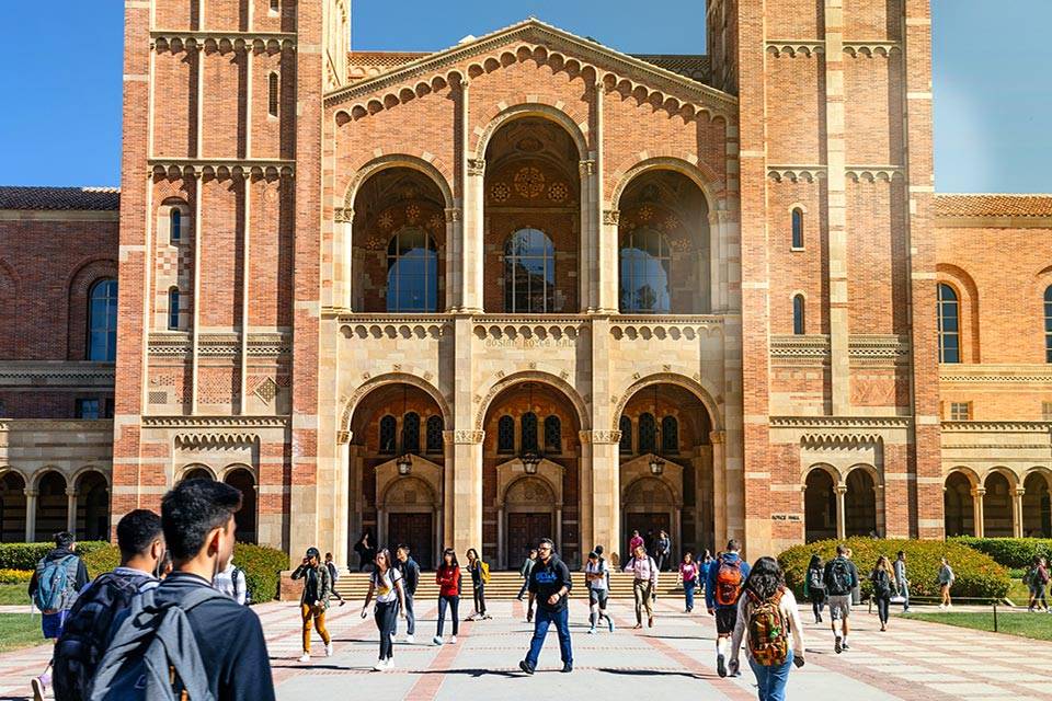 university admission